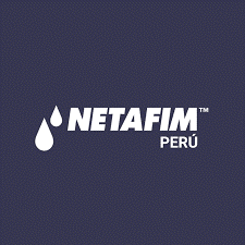 Cliente 4